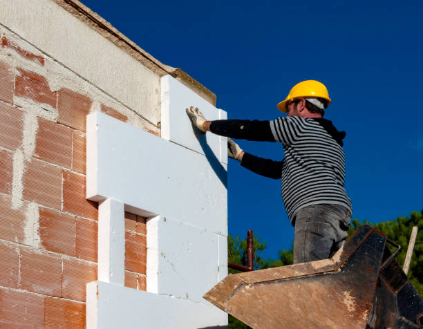 Best Insulation Maintenance and Repair in Croswell, MI