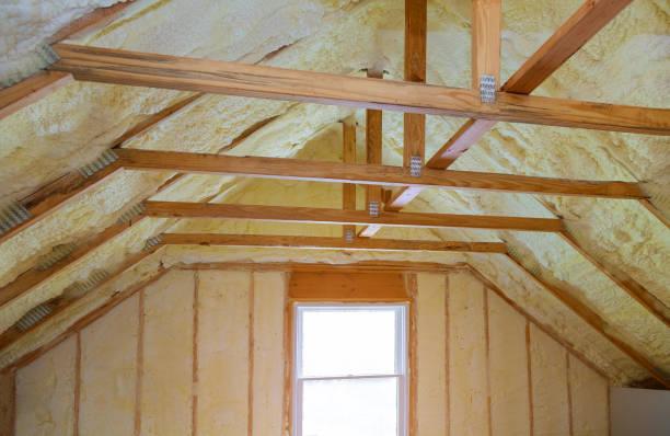 Best Insulation Installation Services in Croswell, MI