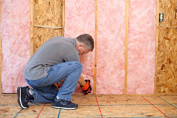 Best Commercial Insulation in Croswell, MI